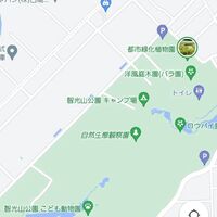 画像1427