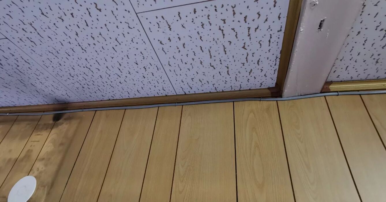 画像2824