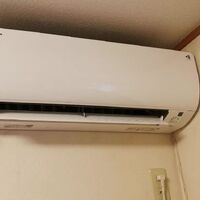 画像2885