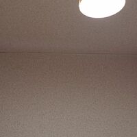 画像2941