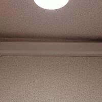画像2945