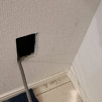 画像2964