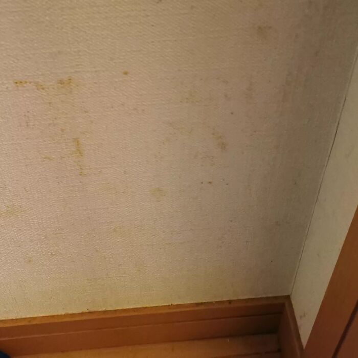 画像3001