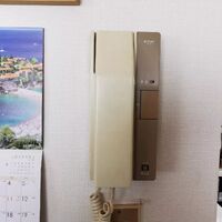 画像3053