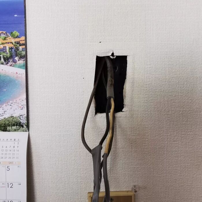 画像3054