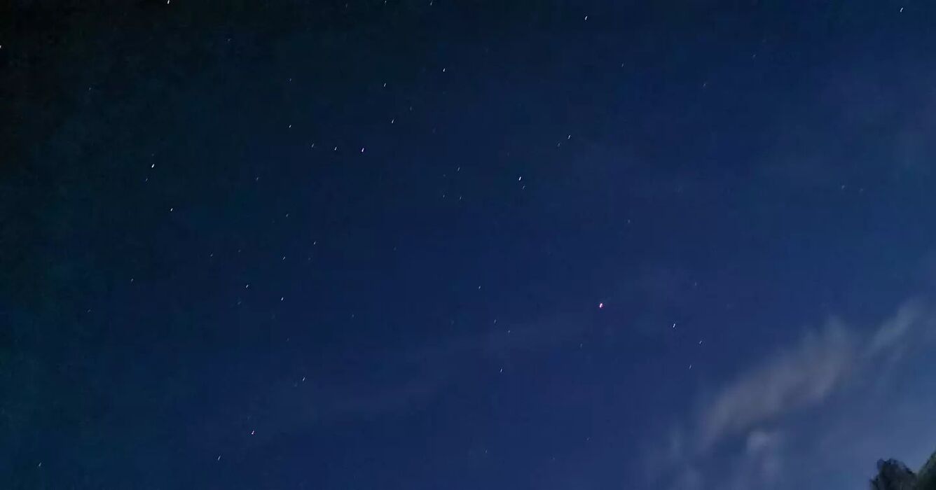 画像3129