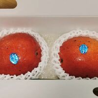 画像3258