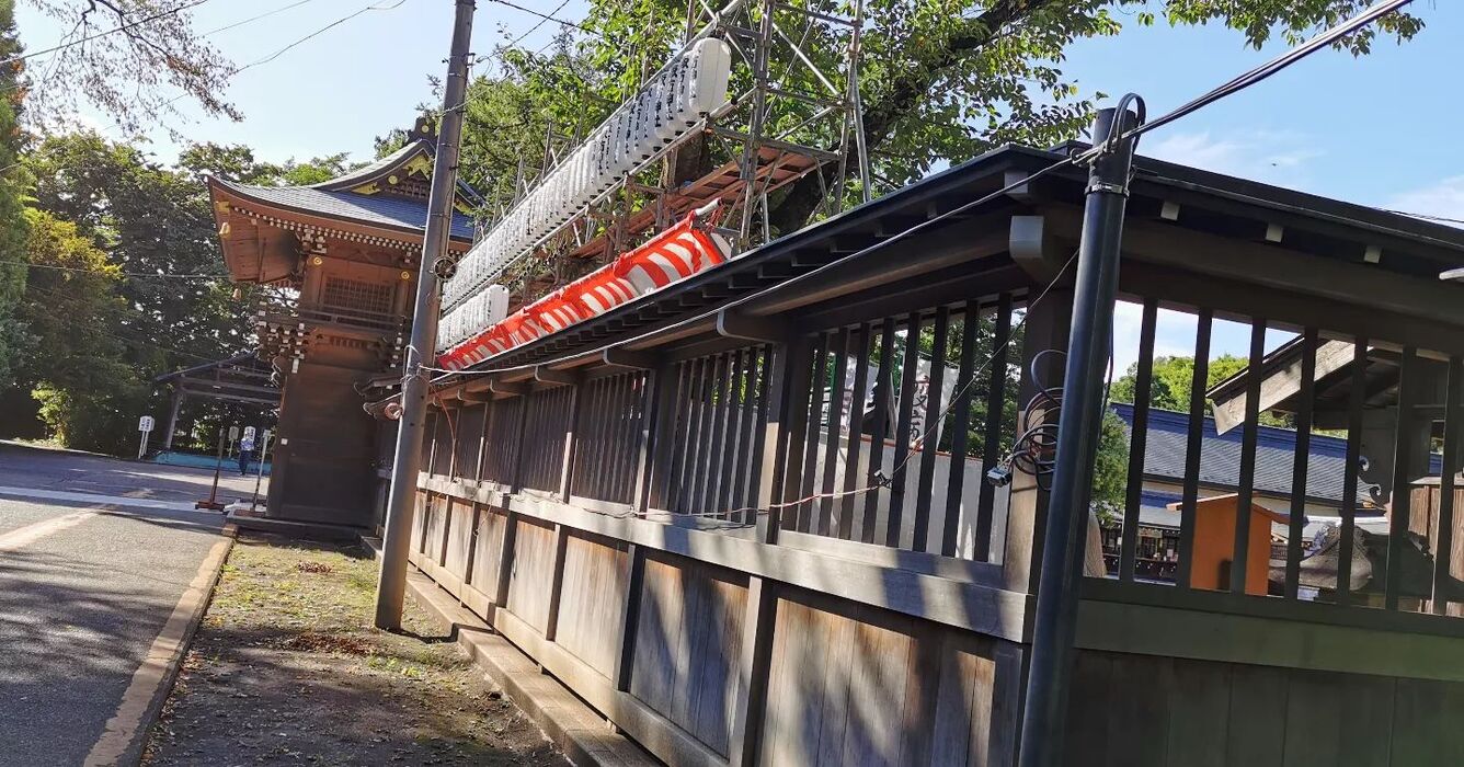 画像3300